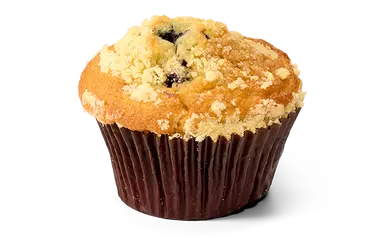 Blueberry muffin on a breakfast plate.