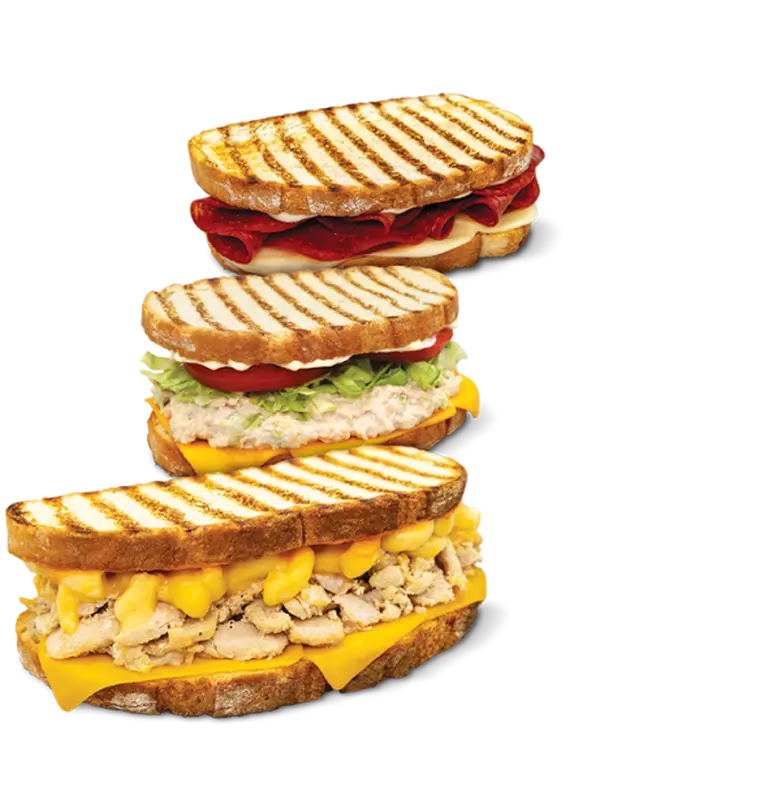 Wawa Panini Reuse